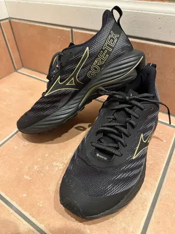 미즈노 러닝화 웨이브 라이더 GTX 고어텍스 2