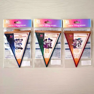 디즈니 호텔 가랜드 세트