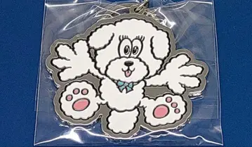 ASTRO 차은우 키링