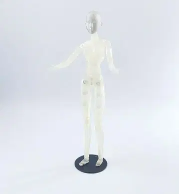 OBITSU 오비츠 인형 여성 인체 모형 스켈레톤 일본제 포즈 2