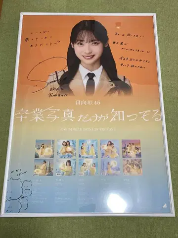 히나타자카46 미야치 스미레 사인 친필 포스터 졸업 사진만 알고 있어