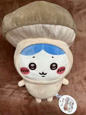 치이카와 버섯 인형옷 BIG 봉제 인형 하치와레 에린기