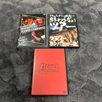 플라워즈 컴퍼니 DVD 3장 세트 판매