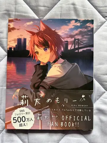 메모리 RINU MEMORY 팬북