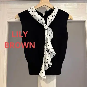 릴리 브라운 블랙 슬리브리스 니트탑