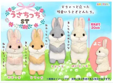 [우사칫치] ST 4종 컴프 세트