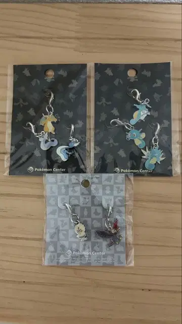 포켓몬 메탈 참