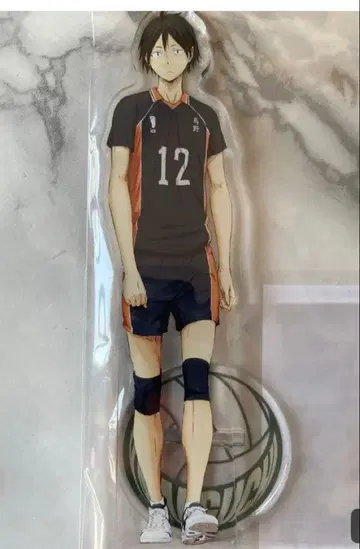 미캉님용 [익명 배송] 하이큐 아크릴 피규어