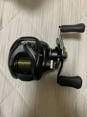 24 TATULA tw 100H 일요일까지 판매