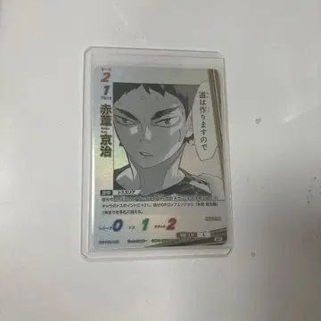 하이큐 바보카 아카아시 케이지