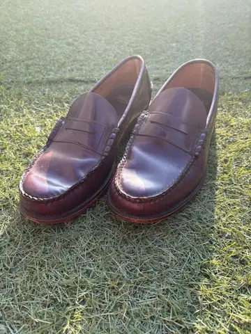 Sebago 다크 브라운 로퍼