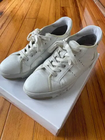 fitfit 하이라이즈 가죽 스니커즈 24cm