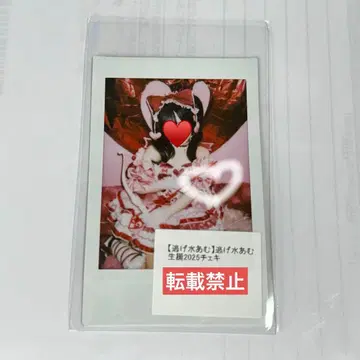 신기루 아므 생탄 2025 폴라로이드 큐루링 해봐