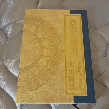 자력과 타력 오카와 류호