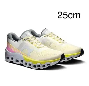 on Cloudmonster2 한정판 에디션 25cm