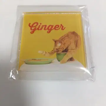 TOMOO "TWO MOON" 랜덤 아크릴 마그넷 ginger