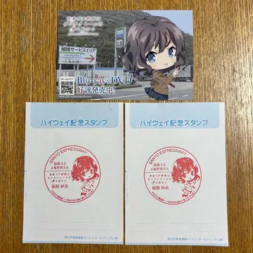 청춘 돼지 녀석은 안경 소녀의 꿈을 꾸지 않는다 히메지 사라