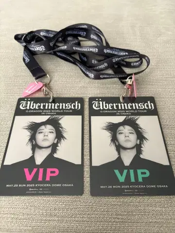 G-DRAGON VIP 패스 피크 포함