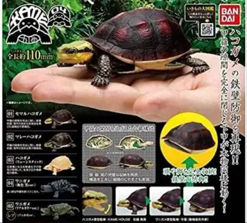 BANDAI 카메 하우스 캡슐 토이 말레이 상자 거북