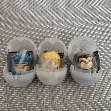 코치카메 기다림 3개 세트