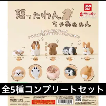 화난 강아지들 전 5종 세트