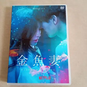 금붕어 아내 DVD 6매조
