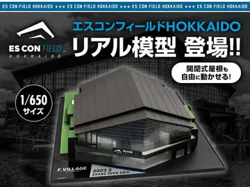 에이스 컴뱃 필드 모형 1/650