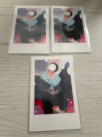 이레이스 실사 폴라로이드 호토케 지금 장미