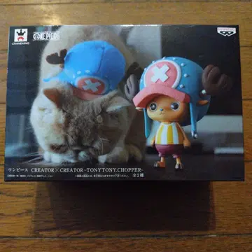 조형사 x 포토그래퍼 CREATOR x CREATOR 초파