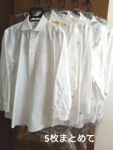 슈퍼 논아이언 슬림 셔츠/세미 와이드/XL 유니클로 [ 5개 묶음 ]