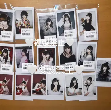 큐루링 해봐 츠바 유나 폴라로이드