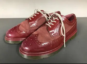 닥터마틴 Dr.Martens 윙팁 와인 레드 25cm