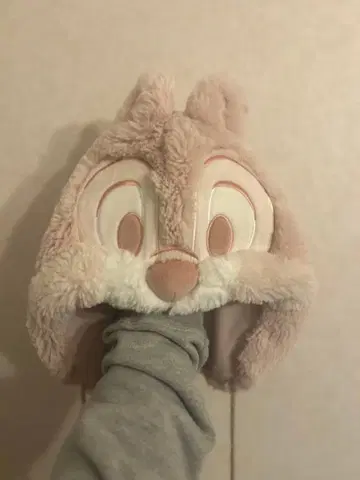 도쿄 디즈니 리조트 토끼 후드