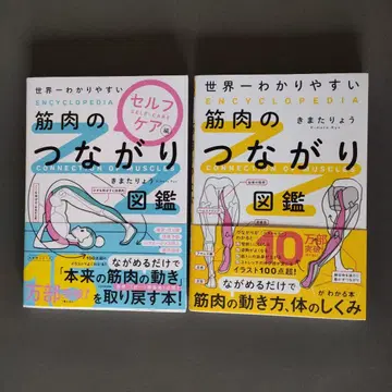 세상에서 가장 쉬운 근육 연결 도감 셀프 케어 편 / 근육 연결 도감