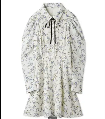 릴리 브라운/LILYBROWN