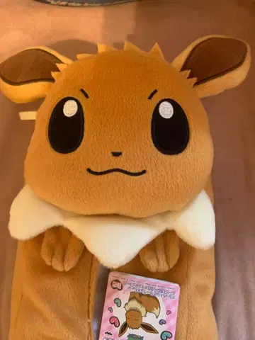 이브이 티슈 케이스