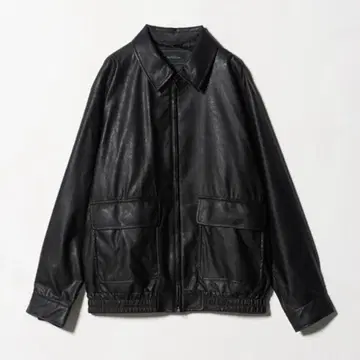 A2 가죽 같은 블루종