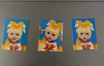 MADMED의 증명사진 (할로윈 ver) 원숭이 말 호랑이 세트