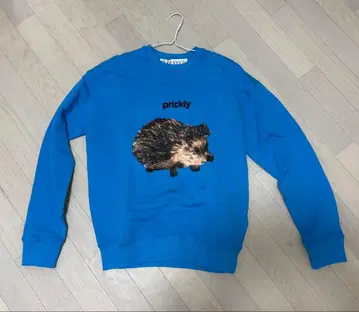 jw Anderson 맨투맨 미사용 택 포함