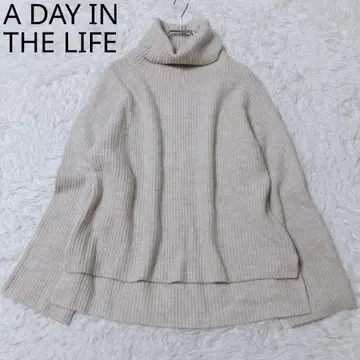 어 데이 인 더 라이프 유나이티드 애로우즈 스웨터 터틀넥 베이지