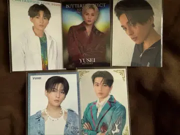 야기 유세이 포토 카드 세트