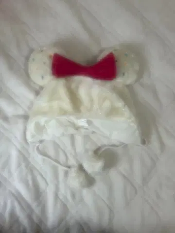 디즈니 25주년 팬캡 미니