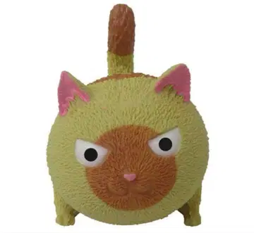 파양가정 모집 중 냥코짱 브라운 고양이