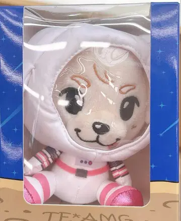 이와타 타카노리 록키