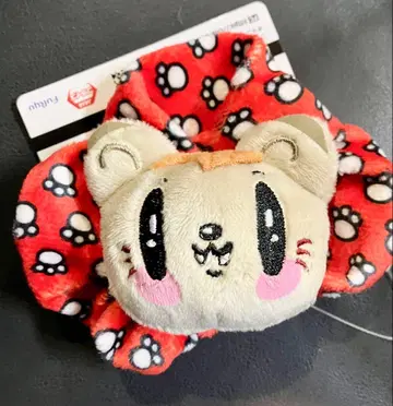 제 고양이 시라하마 아란 스크런치