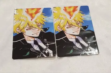 가정교사 히트맨 REBORN! 프리모 셀카풍 카드 아마노 아키라 전시회