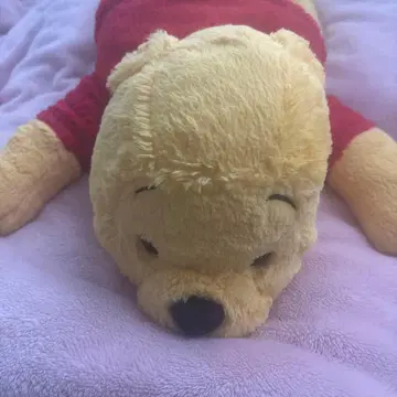 곰돌이 푸 봉제 인형