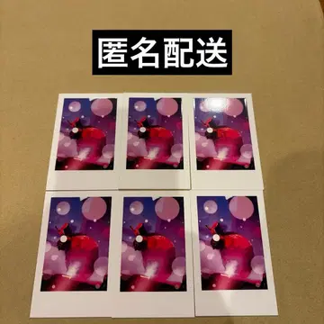 이레귤러즈 실사 폴라로이드 2025 리우라 3