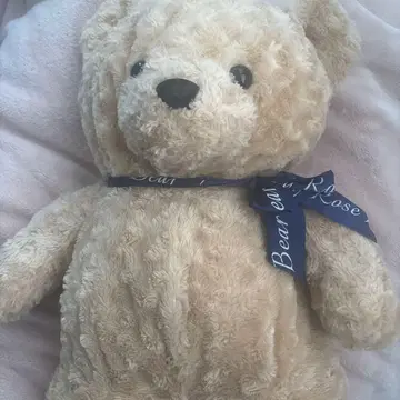 Bear and Rose 곰 봉제 인형