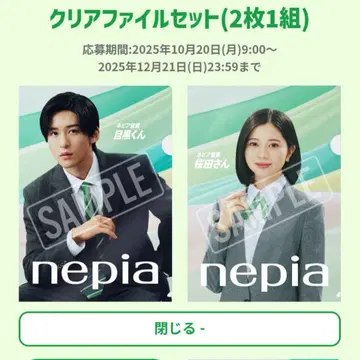 네피아 클리어 파일 메구로 렌 벚꽃 히요리